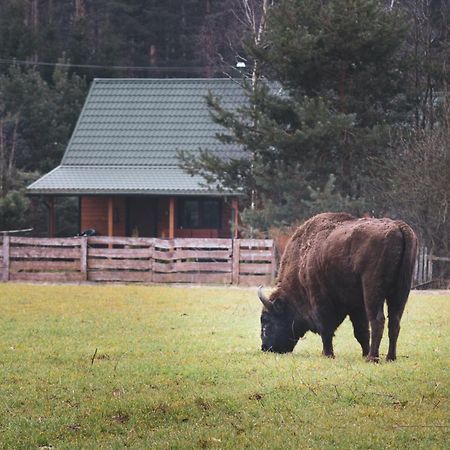 Leśna 21 Dom Północ przy ZALEW SIEMIANÓWKA Vila Luka Exterior foto